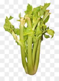 100% free vegetables coloring pages. Celery Png Celery Stalk Celery Cartoon Cartoon Celery Celery Vector Celery Coloring Celery Science Experiment Celery Night Fever Celery Health Benefits Celery Wallpaper Animated Celery Celery Coloring Page Celery Fun Celery