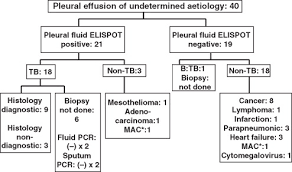 There are four types of biopsies that are commonly used for mesothelioma diagnosis. Enzyme Linked Immunospot Assay For Interferon Gamma In The Diagnosis Of Tuberculous Pleurisy Clinical Microbiology And Infection