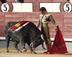 Image result for ivan fandiño