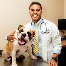 We are active in many local pet adoption programs such as petapalooza which is our biggest event of the. Full Service Veterinarian South Buffalo Springs In Las Vegas Our Doctors
