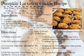Pumpkin Lactation Cookie Recipe Lactation Cookies Recipe Lactation Recipes Recipes
