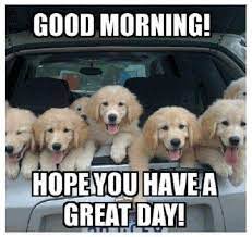 Pin By Mona A On A Good Morning Funny Good Morning Memes Good Morning Animals Good Morning Dog
