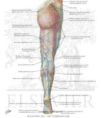 Maybe you would like to learn more about one of these? Atlas Of Human Anatomy 3e