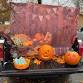 Trunk or Treat — Canaan Acres Christian Camp event image