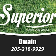 Superior lawn care usa has been offering lawn maintenance services to the pittsburgh area for nearly 40 years. Superior Lawn Care Service Home Facebook