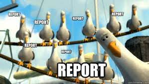 Report Report Report Report Report Report Report Finding Nemo Seagulls Quickmeme