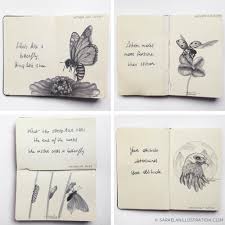 Metafore E Animali Gli Animali Associati A Citazioni Di Saraelan Donati