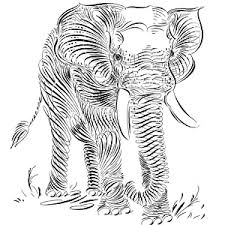 Bilder nachzeichnen bilder zum nachmalen schöne bilder wolf gesicht wal malerei schwarze tattoos kunst bilder bilder ideen tiere zeichnen. Kalligrafisch Zeichnen Die Kunst Des Schonen Schreibens Modern Interpretiert Kalligraphie Lernen Mit Praktischen Ubungen Fur Kreative Zeichnungen Personliche Einladungskarten Und Meditatives Malen Schin Loong Amazon De Bucher