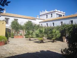 We did not find results for: Hacienda Los Jinetes Bewertungen Fotos Preisvergleich Carmona Spanien Tripadvisor