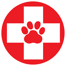 Do an internet search for veterinary schools near me. Ottawa Animal Emergency Specialty Hospital Always Open 24 Hours