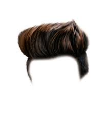 Download Free Hair Png Download New Hair Png Zip File Download For Your New Logo Design Template Or Your In 2020 Hair Png Dslr Background Images Photoshop Backgrounds