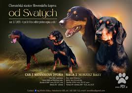 Image result for slovenský kopov