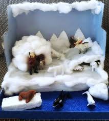 Tundra Biome In A Box Project May 2016 Arctic Diorama 4 Ed Diorama Kids Arctic Animals Projects Arctic Habitat