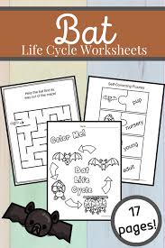 Bat Life Cycle Worksheets In 2020 Life Cycles Life Cycles Activities Homeschool Prek