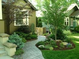 Pin By Casey Cretsinger On Gardening Front Yard Landscaping Design Evergreen Landscape Backyard Landscaping