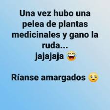 Our porno collection is huge and it's constantly growing. 25 Best Ruda Memes Cuando Memes Mujer Memes A Memes