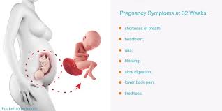Pin On Baby Development Week By Week