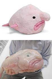 Bambi plüsch kuscheltier patrick hockstetter patrick plüschtier ketchup heinz schiggy pokemon kuscheltier eeyore tsum plush lotso tsum plush karl heinz schneider weißes einhorn kuscheltier. Hasslich Aber Kuschlig
