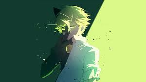 Check spelling or type a new query. Adrien Agreste Cat Noir Hd Wallpaper Background Image 2674x1504