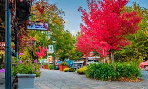 Armidale is a city in the northern tablelands, new south wales, australia. 7 Amazing Australian Places To Visit This Autumn Big4