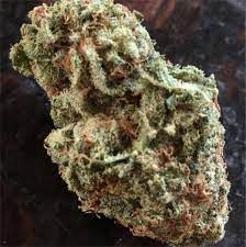Overwhelmingly positive, g13 haze is a breath of fresh air that will wake up your senses while it they say g13 haze was originally develop for medical purposes, though it does only offer a low level of. G13 Haze Marijuana Strain Information Leafly