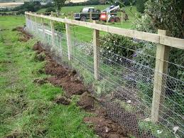 It is made of thin, flexible, galvanized steel wire with hexagonal gaps. Chicken Wire Mesh For Animal Fencing And Garden Fencing