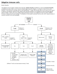 introduction to immunology mcmaster pathophysiology review