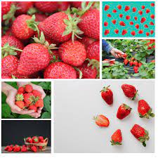 Are Strawberries Acidic All You Need To Know Natureword