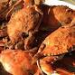 Irvington Crab Festival