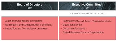 This logo image consists only of simple geometric shapes or text. Group Structure And Shareholders Lonza Annual Report 2017