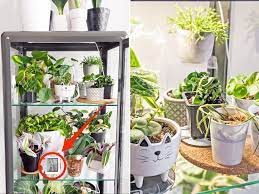 Dreaming of building your own diy greenhouse? How To Turn An Ikea Fabrikor Cabinet Into A Greenhouse For Houseplants