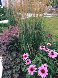 Artificial grass water plants landscaping aquarium fish tank ornament 10pcs. Plant Profile Karl Foerster Feather Reed Grass The Landscape Artist Calgary