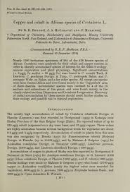 Image result for Crotalaria prolongata