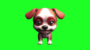 208 Black Great Dane Stock Videos