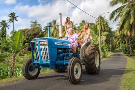 We carry a large selection of aftermarket and rebuilt parts, but used parts is the backbone of our business. Need A Ride No Problems Papa Has Space On His Tractor Rarotonga Back Road Picture Of Cook Islands South Pacific Tripadvisor