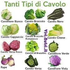 We did not find results for: Cavoli E Cavoletti Amici Della Salute Della Linea E Del Portafogli