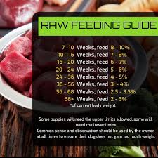 Raw Dog Food Feeding Guide Prodog