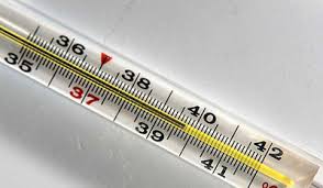 D Z Orz Temperatura 4j Den Podnimaetsya Za 39 Sbili I Snova Chasikov Cherez 5 Podnimaetsya 13118121 Kashalot