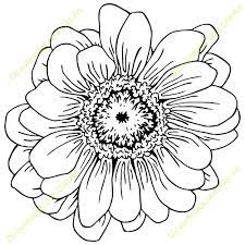 Pin On Printables