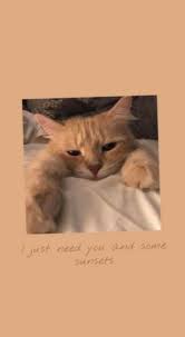 6 Cute Animals Background Cartoon Gambar Hewan Lucu Seni Kucing Gambar Hewan