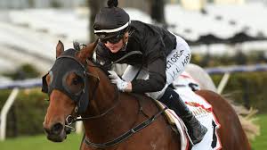 Moreover, jamie kah rides smoothly keeping her poise and composure to get the best result out of her horse, the as of now, jamie kah is 24 years of age. Jamie Kah 100 Star Jockey Moves To 99 Wins For Season After Double At Flemington Herald Sun