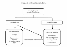 2.2 Diagnosis Of Mesothelioma | Adri