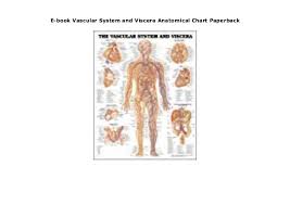 E Book Vascular System And Viscera Anatomical Chart Paperback