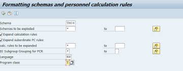 Sap ecc 6.0 version, sap hcm module. Expand The Time Payroll Schema Using A Program Rpdasc00 Sap Blogs