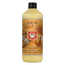 Image result for Cocos