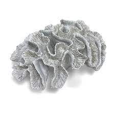 Fancy That Gift Decor Brain Coral Decor 375 Czk Liked On Polyvore Featuring Home Home Decor Holiday Decorations C Coral Decor Brain Coral Beachy Decor