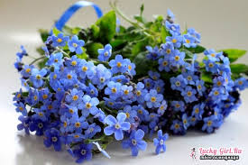 Top corto a fiori blu con top a righe. Piccoli Fiori In Blu Fiori In Blu Nomi E Foto Come Dipingere I Fiori Blu
