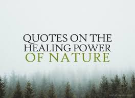 54 Profound Quotes On The Healing Power Of Nature