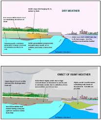 2 Processes Of Soil Acidification And Contaminant Discharge In Urban Download Scientific Diagram