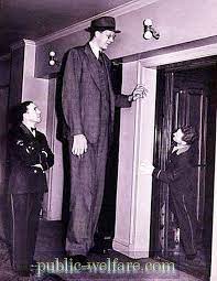 Maybe you would like to learn more about one of these? Robert Wadlow Der Grosste Mann Der Welt Prominente 2021